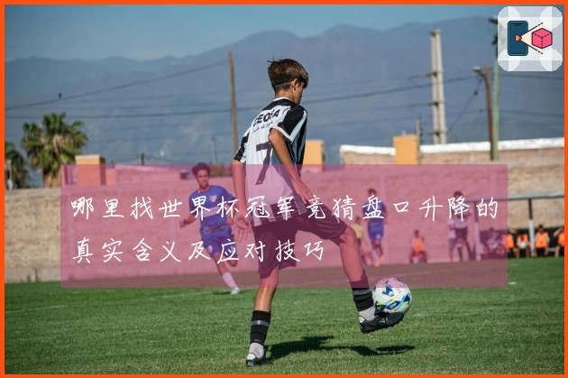 哪里找世界杯冠军竞猜盘口升降的真实含义及应对技巧