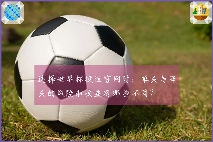选择世界杯投注官网时，单关与串关的风险和收益有哪些不同？