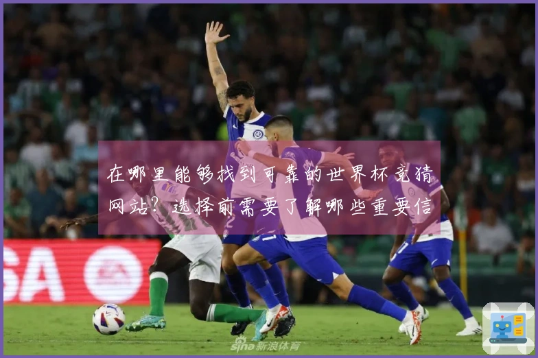 在哪里能够找到可靠的世界杯竞猜网站?选择前需要了解哪些重要信息?