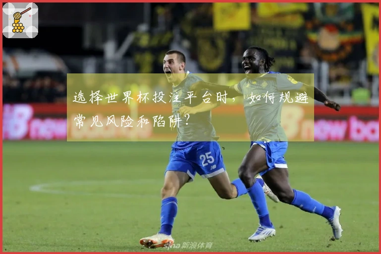 选择世界杯投注平台时，如何规避常见风险和陷阱？