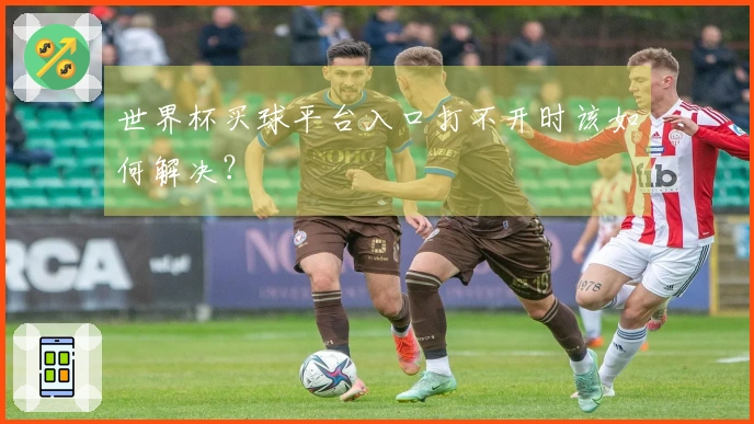 世界杯买球平台入口打不开时该如何解决？