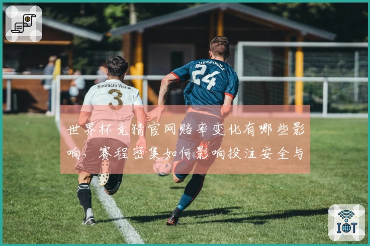 世界杯竞猜官网赔率变化有哪些影响，赛程密集如何影响投注安全与选择