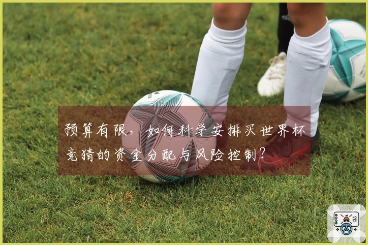 预算有限，如何科学安排买世界杯竞猜的资金分配与风险控制？