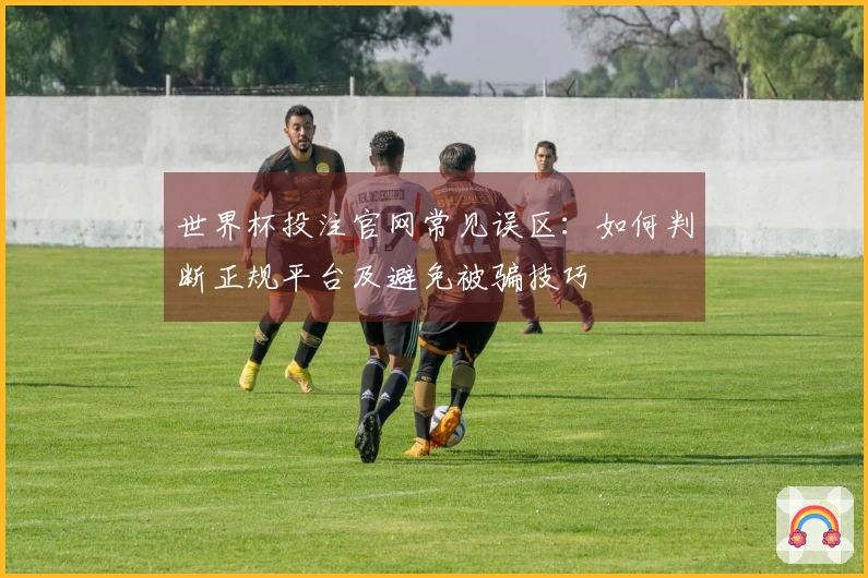 世界杯投注官网常见误区：如何判断正规平台及避免被骗技巧