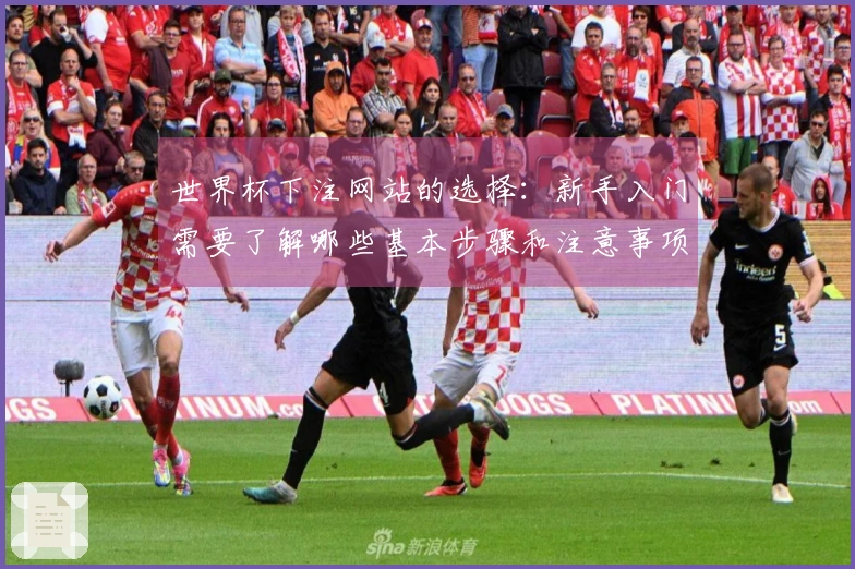 世界杯下注网站的选择：新手入门需要了解哪些基本步骤和注意事项？