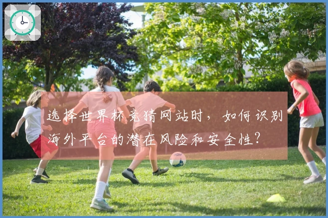 选择世界杯竞猜网站时，如何识别海外平台的潜在风险和安全性？