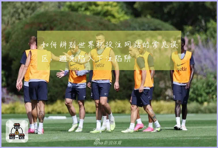 如何辨别世界杯投注网站的常见误区，避免陷入下注陷阱