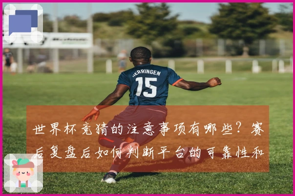 世界杯竞猜的注意事项有哪些？赛后复盘后如何判断平台的可靠性和规则？
