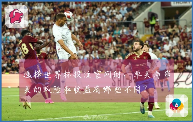 选择世界杯投注官网时,单关与串关的风险和收益有哪些不同?