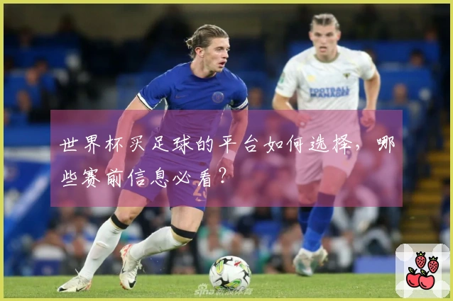 世界杯买足球的平台如何选择，哪些赛前信息必看？