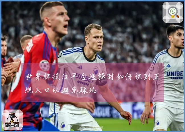 世界杯投注平台选择时如何识别正规入口以避免踩坑