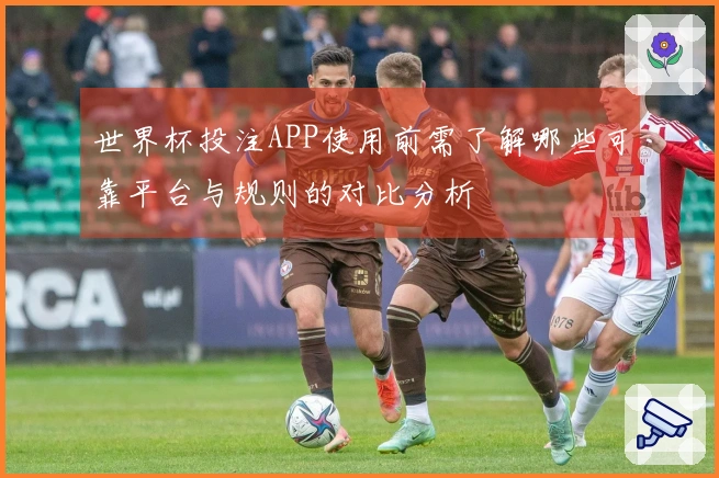 世界杯投注APP使用前需了解哪些可靠平台与规则的对比分析