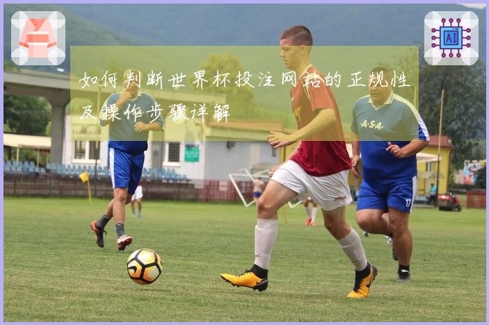 如何判断世界杯投注网站的正规性及操作步骤详解