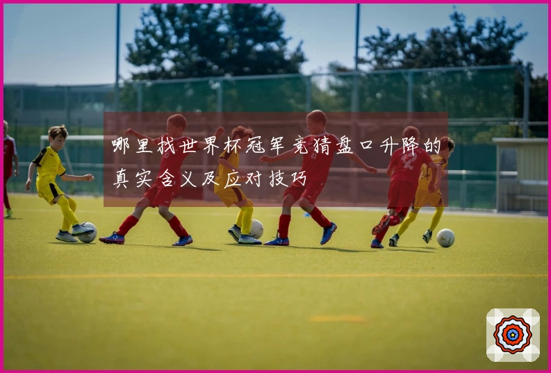 哪里找世界杯冠军竞猜盘口升降的真实含义及应对技巧