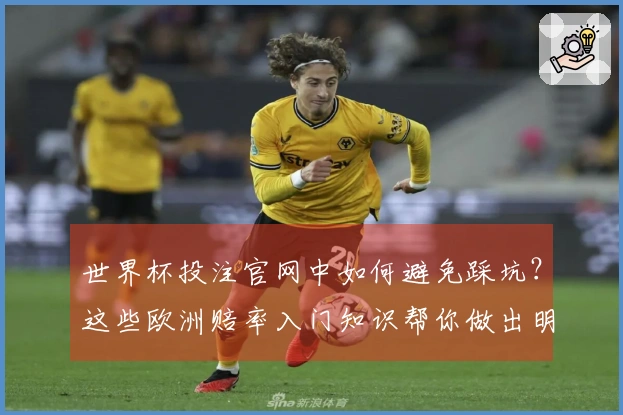 世界杯投注官网中如何避免踩坑?这些欧洲赔率入门知识帮你做出明智选择