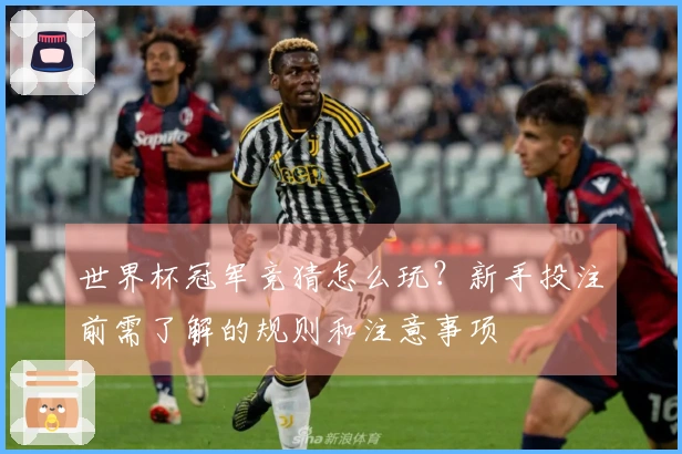 世界杯冠军竞猜怎么玩？新手投注前需了解的规则和注意事项