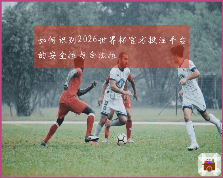 如何识别2026世界杯官方投注平台的安全性与合法性