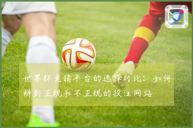 世界杯竞猜平台的选择对比：如何辨别正规和不正规的投注网站