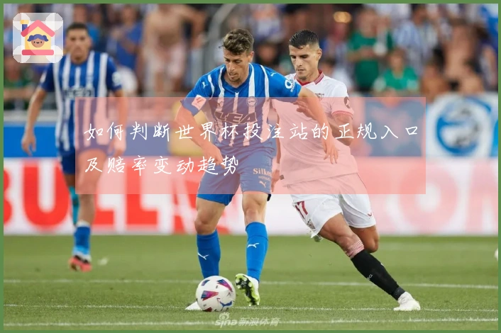 如何判断世界杯投注站的正规入口及赔率变动趋势