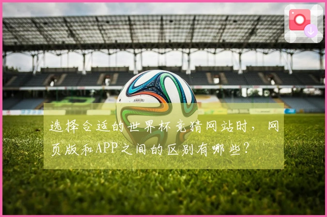 选择合适的世界杯竞猜网站时,网页版和APP之间的区别有哪些?