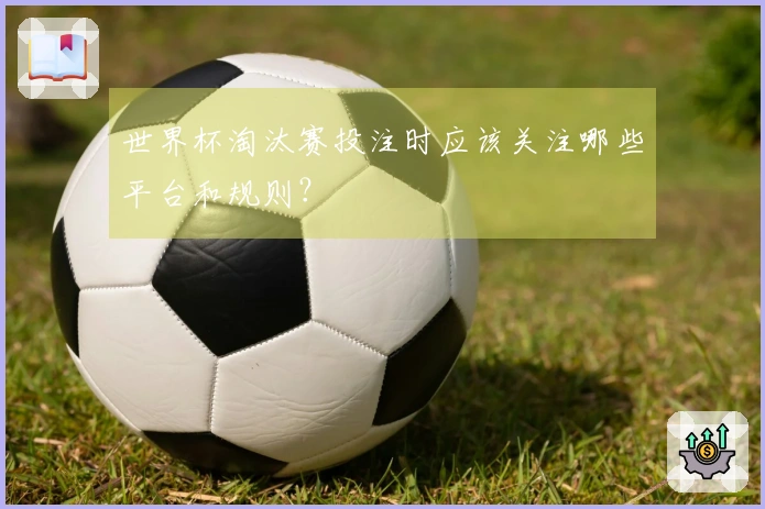 世界杯淘汰赛投注时应该关注哪些平台和规则？