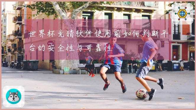 世界杯竞猜软件使用前如何判断平台的安全性与可靠性