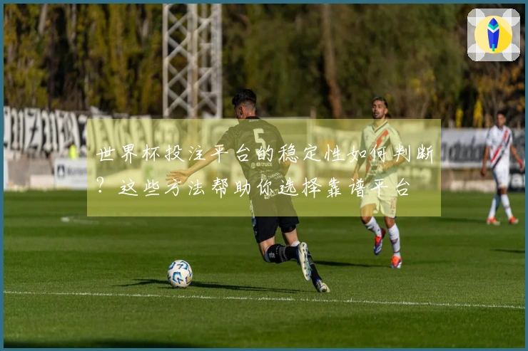 世界杯投注平台的稳定性如何判断？这些方法帮助你选择靠谱平台
