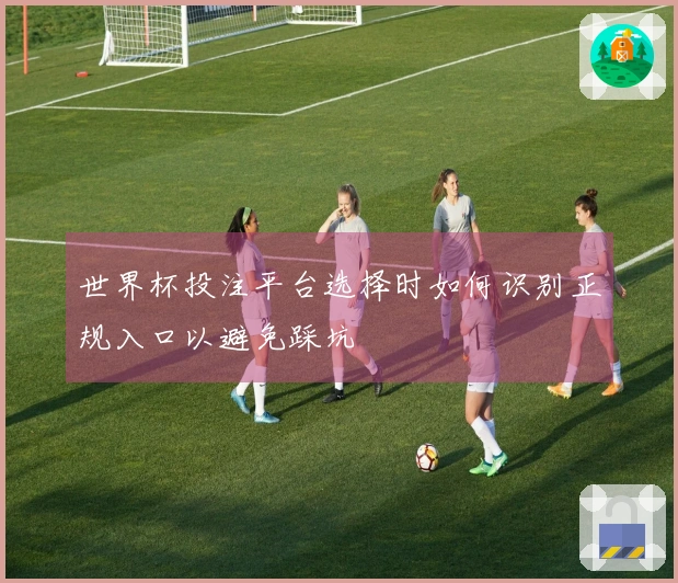 世界杯投注平台选择时如何识别正规入口以避免踩坑