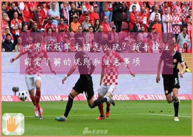 世界杯冠军竞猜怎么玩？新手投注前需了解的规则和注意事项