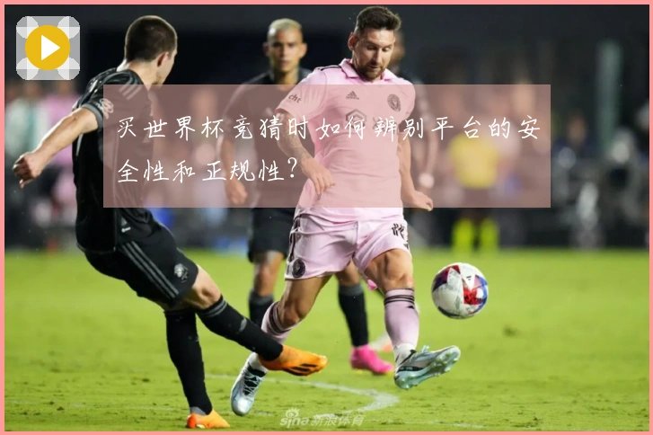 买世界杯竞猜时如何辨别平台的安全性和正规性?