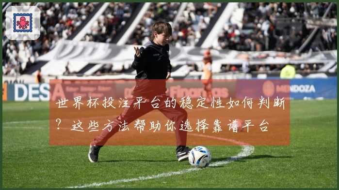 世界杯投注平台的稳定性如何判断？这些方法帮助你选择靠谱平台