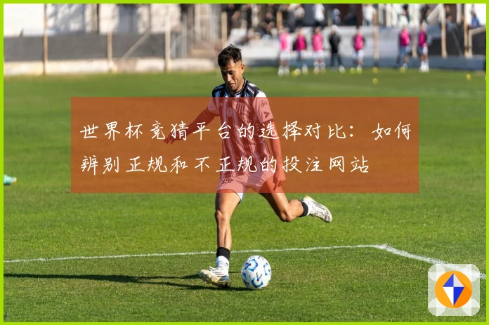世界杯竞猜平台的选择对比：如何辨别正规和不正规的投注网站