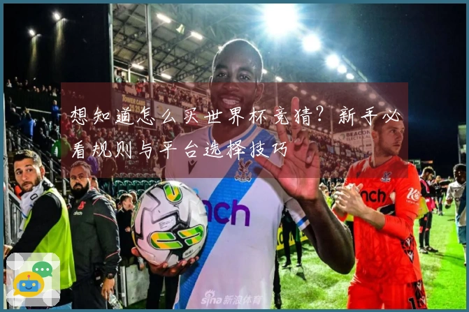 想知道怎么买世界杯竞猜？新手必看规则与平台选择技巧