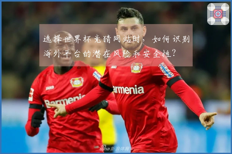 选择世界杯竞猜网站时，如何识别海外平台的潜在风险和安全性？