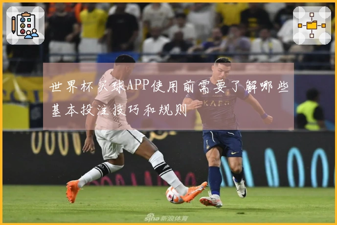 世界杯买球APP使用前需要了解哪些基本投注技巧和规则