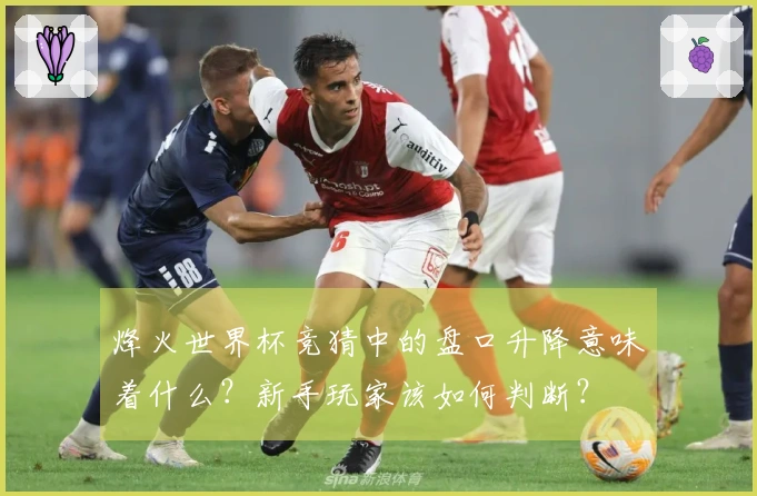 烽火世界杯竞猜中的盘口升降意味着什么？新手玩家该如何判断？